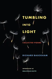 Tumbling Into Light_cover