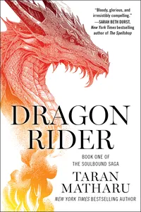 Dragon Rider_cover