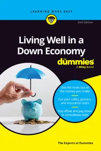 Living Well in a Down Economy For Dummies_cover