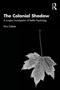 The Colonial Shadow_cover
