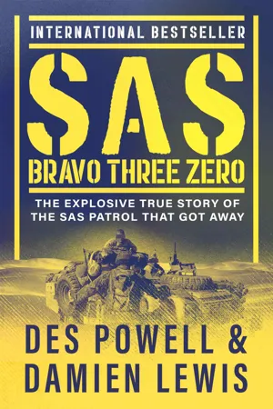 SAS Bravo Three Zero