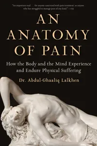 An Anatomy of Pain_cover