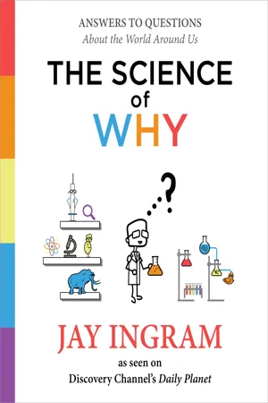 The Science of Why