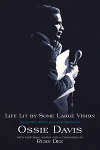 Life Lit by Some Large Vision_cover