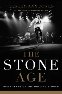 The Stone Age_cover