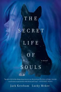 The Secret Life of Souls_cover