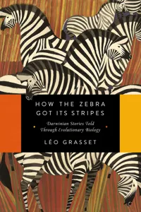 How the Zebra Got Its Stripes_cover