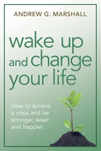 Wake Up and Change Your Life_cover