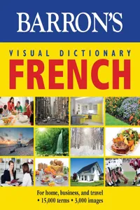 Visual Dictionary: French: For Home, Business, and Travel_cover
