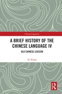 A Brief History of the Chinese Language IV_cover