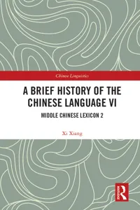 A Brief History of the Chinese Language VI_cover