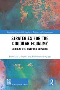 Strategies for the Circular Economy_cover