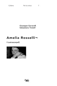 Amelia Rosselli_cover