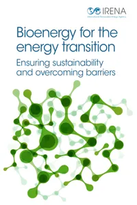 Bioenergy for the Energy Transition: Ensuring Sustainability and Overcoming Barriers_cover