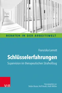 Schlüsselerfahrungen: Supervision im therapeutischen Strafvollzug_cover