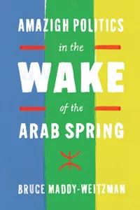 Amazigh Politics in the Wake of the Arab Spring_cover
