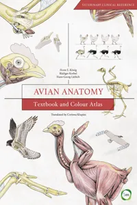 Avian Anatomy 2nd Edition_cover
