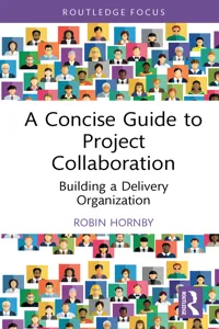 A Concise Guide to Project Collaboration_cover