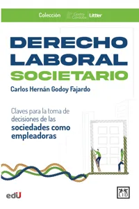 Derecho Laboral Societario_cover