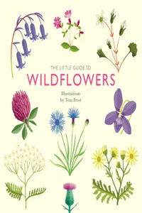 The Little Guide to Wildflowers_cover