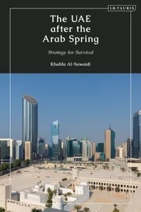 The UAE after the Arab Spring_cover