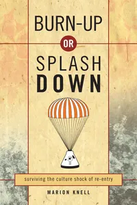 Burn Up or Splash Down_cover