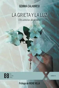 La grieta y la luz_cover