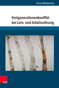 Dreigenerationenkonflikt bei Lern- und Arbeitsstörung_cover