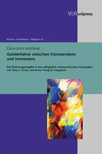 Geisterfahrer zwischen Transzendenz und Immanenz_cover