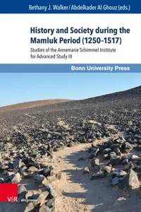 History and Society during the Mamluk Period_cover