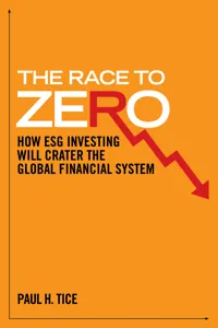 The Race to Zero_cover