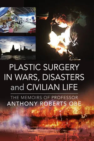 Plastic Surgery in Wars, Disasters and Civilian Life