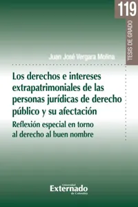 Los derechos e intereses extrapatrimoniales de las personas jurídicas de derecho público y su afectación_cover