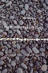 Numinous Seditions_cover
