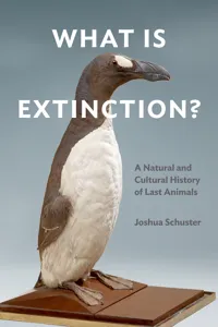 What Is Extinction?_cover