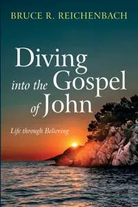 Diving into the Gospel of John_cover