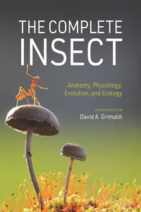 The Complete Insect_cover