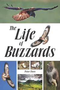 The Life of Buzzards_cover