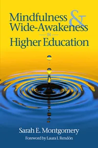 Mindfulness & Wide-Awakeness in Higher Education_cover
