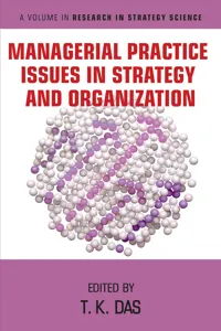 Managerial Practice Issues in Strategy and Organization_cover