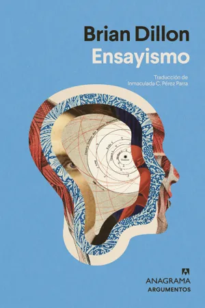 Ensayismo