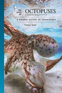 The Lives of Octopuses and Their Relatives_cover
