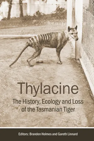 Thylacine