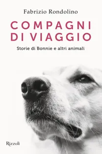 Compagni di viaggio_cover