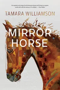 Mirror Horse_cover