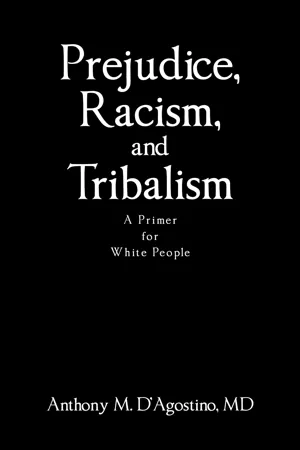 Prejudice, Racism, and Tribalism