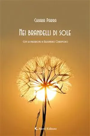 Nei brandelli di sole