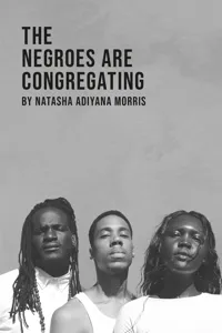 The Negroes Are Congregating_cover