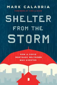 Shelter from the Storm_cover