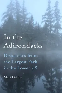 In the Adirondacks_cover